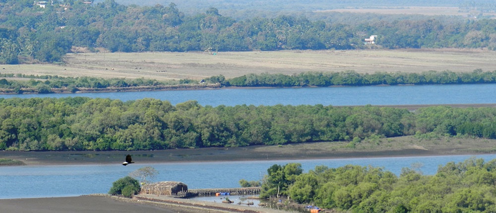 Goa’s Ambitious Plan to Revive Khazan Lands Through New Board